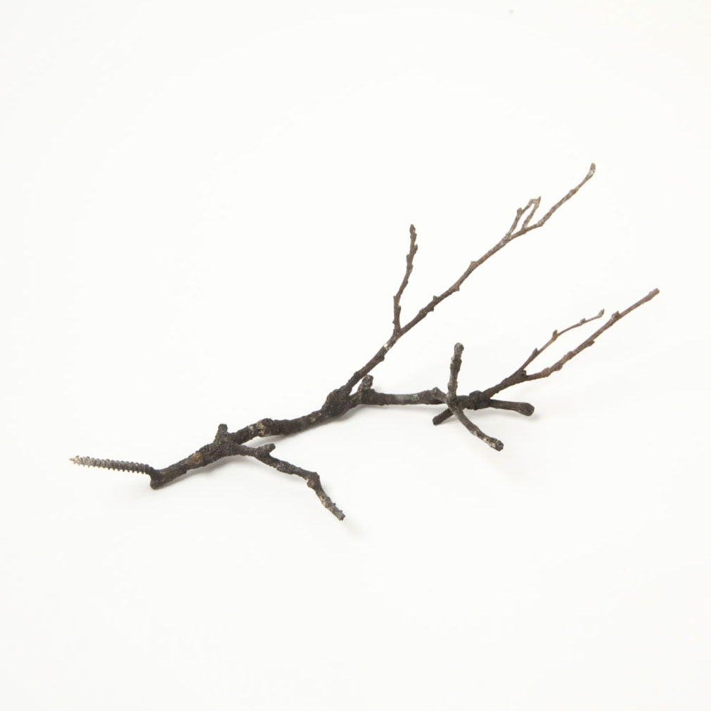 BRONZE BRANCH